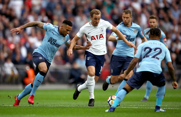 金分布震撼 金分布震撼