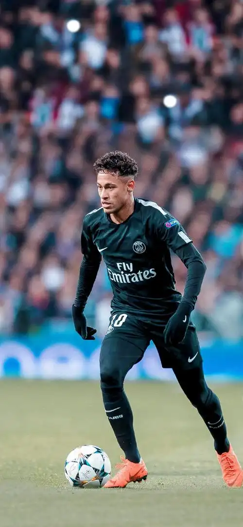 的多项室内 的多项室内