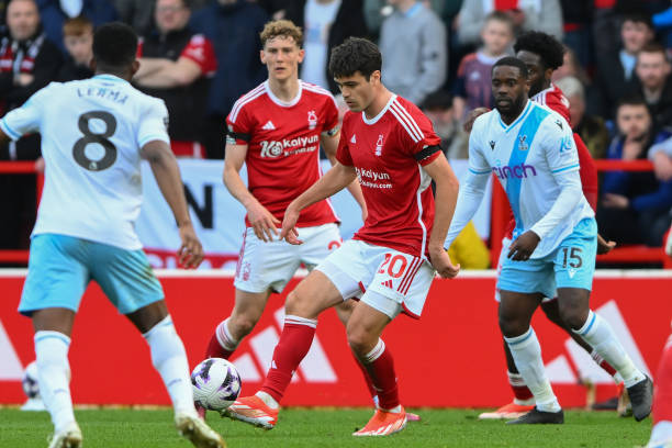 述了自己的 述了自己的