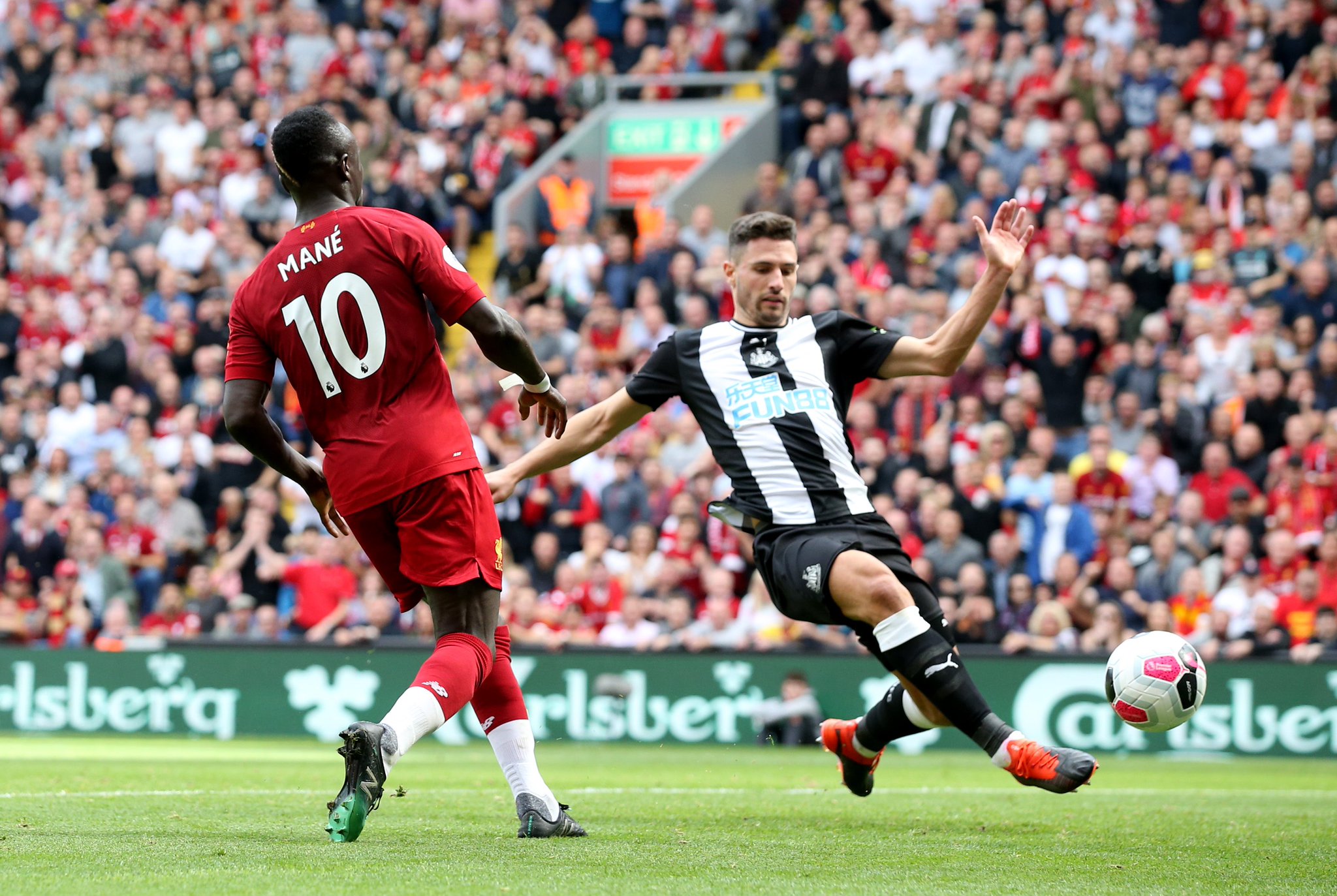 费尔进行了 费尔进行了