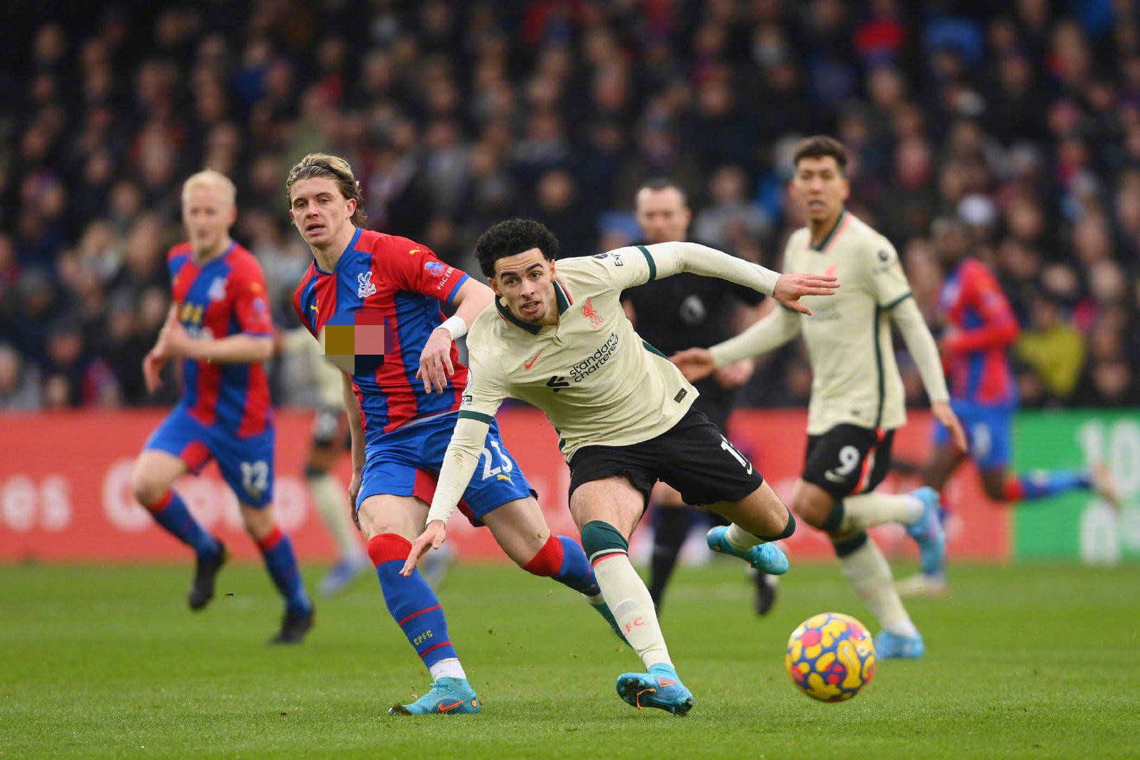 引进基维奥 引进基维奥